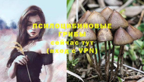 ALPHA PVP Алексеевка