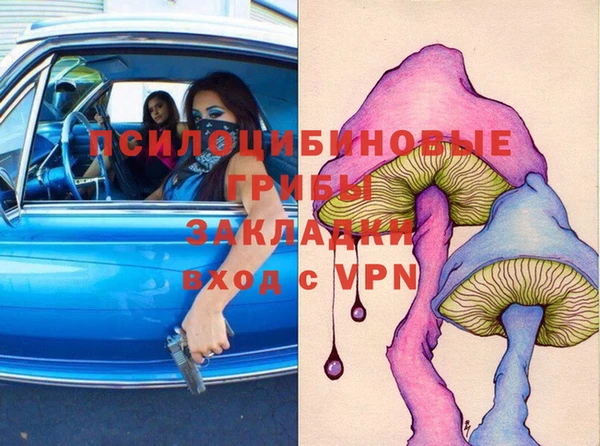 метадон Алексин