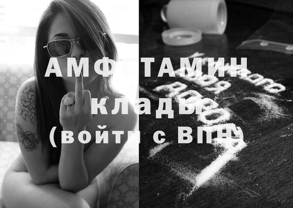 стаф Новодвинск