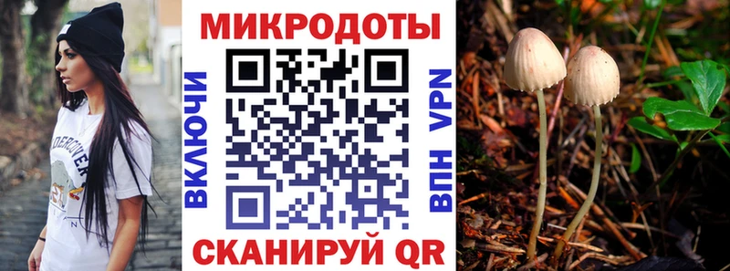 Псилоцибиновые грибы Cubensis  где можно купить   Бронницы 